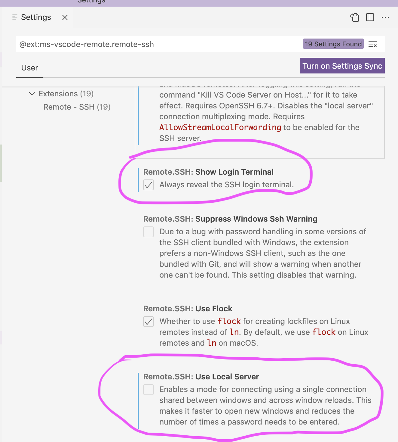 SSH extension settings